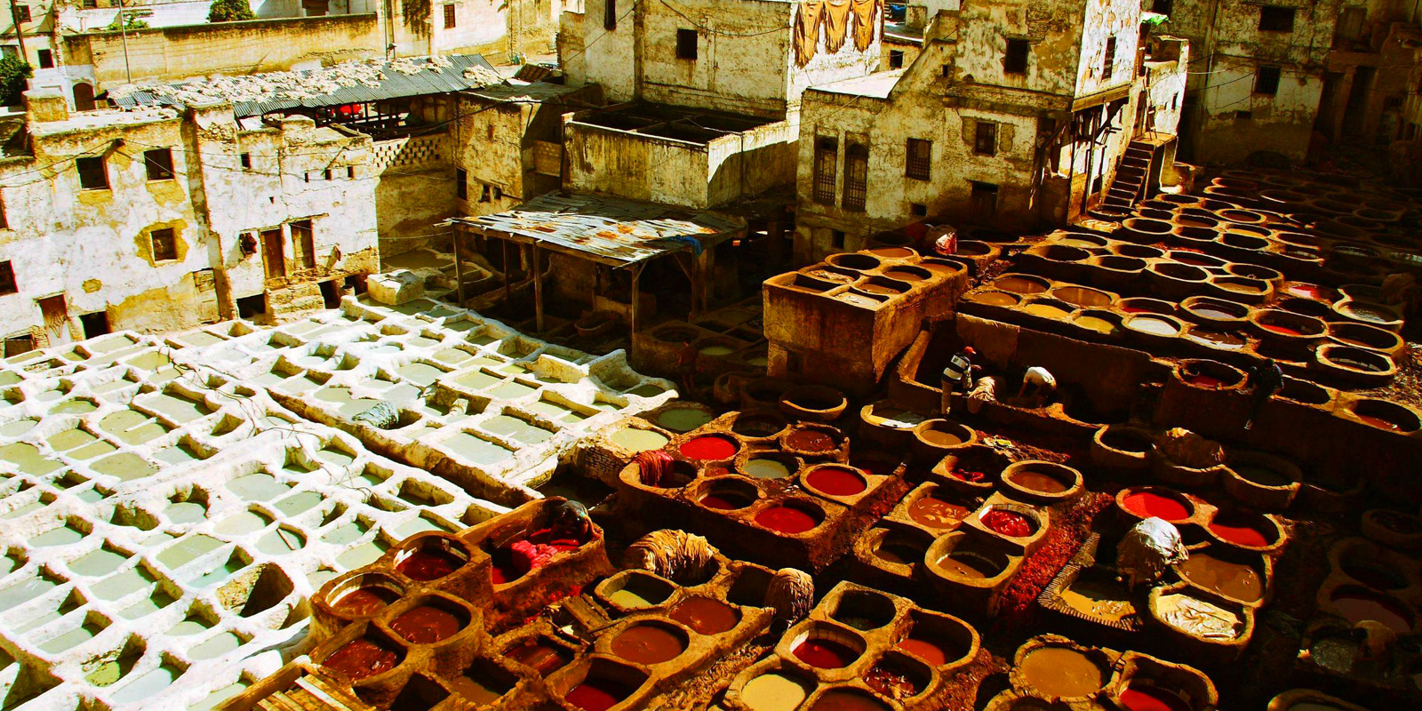 fes day trip